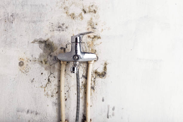 Best Mold Remediation for Schools in Del Rio, CA